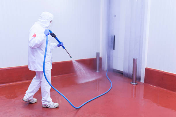 Best Restaurant Pressure Washing  in De Leon, TX
