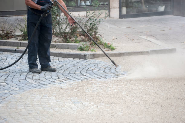 Best Animal Enclosure Cleaning  in De Leon, TX